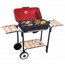 BARBEQUE ELETTRICO CON STAND